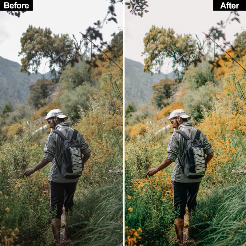 Hiking Lightroom Presets - Image 5