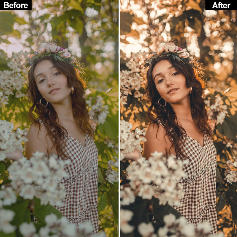 Vintage Lightroom Presets - Image 3