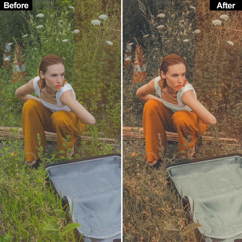 Vintage Lightroom Presets - Image 9
