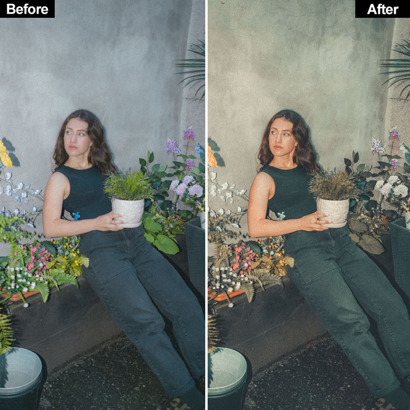 Vintage Lightroom Presets - Image 7