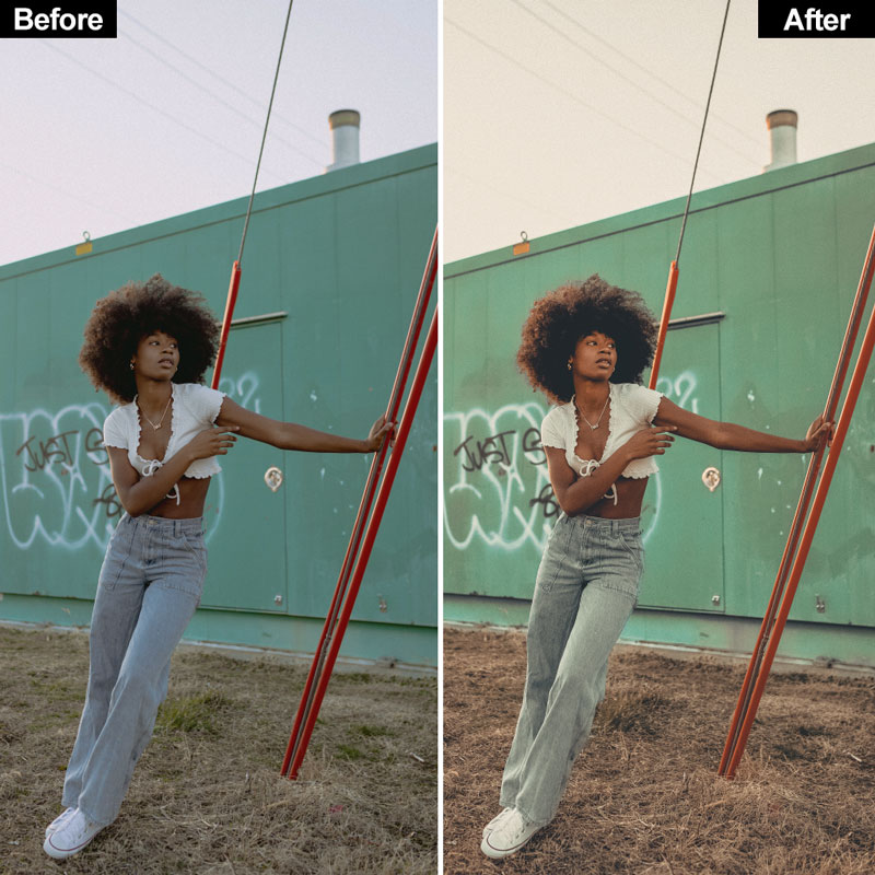 Vintage Lightroom Presets - Image 6