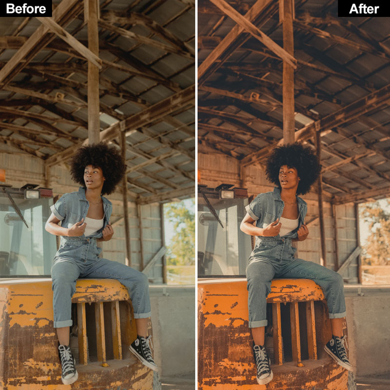 Vintage Lightroom Presets - Image 4